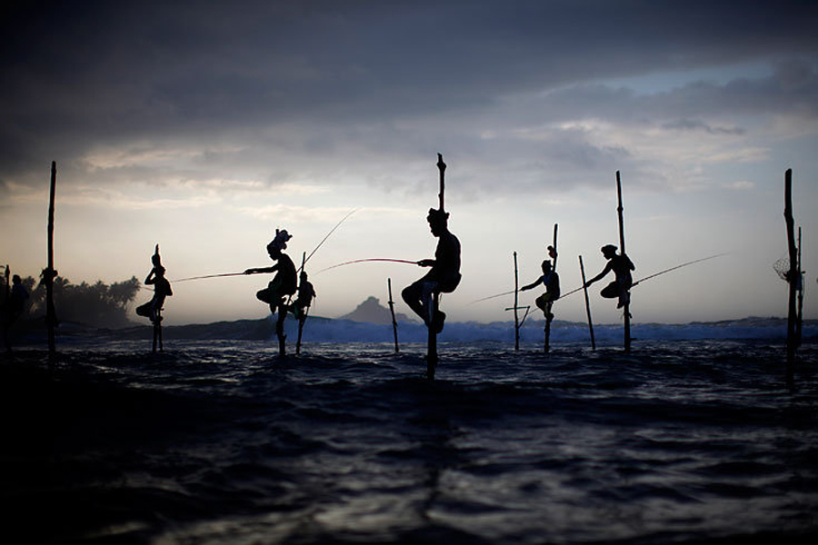 -  (stilt fisherman, Sri-Lanka)